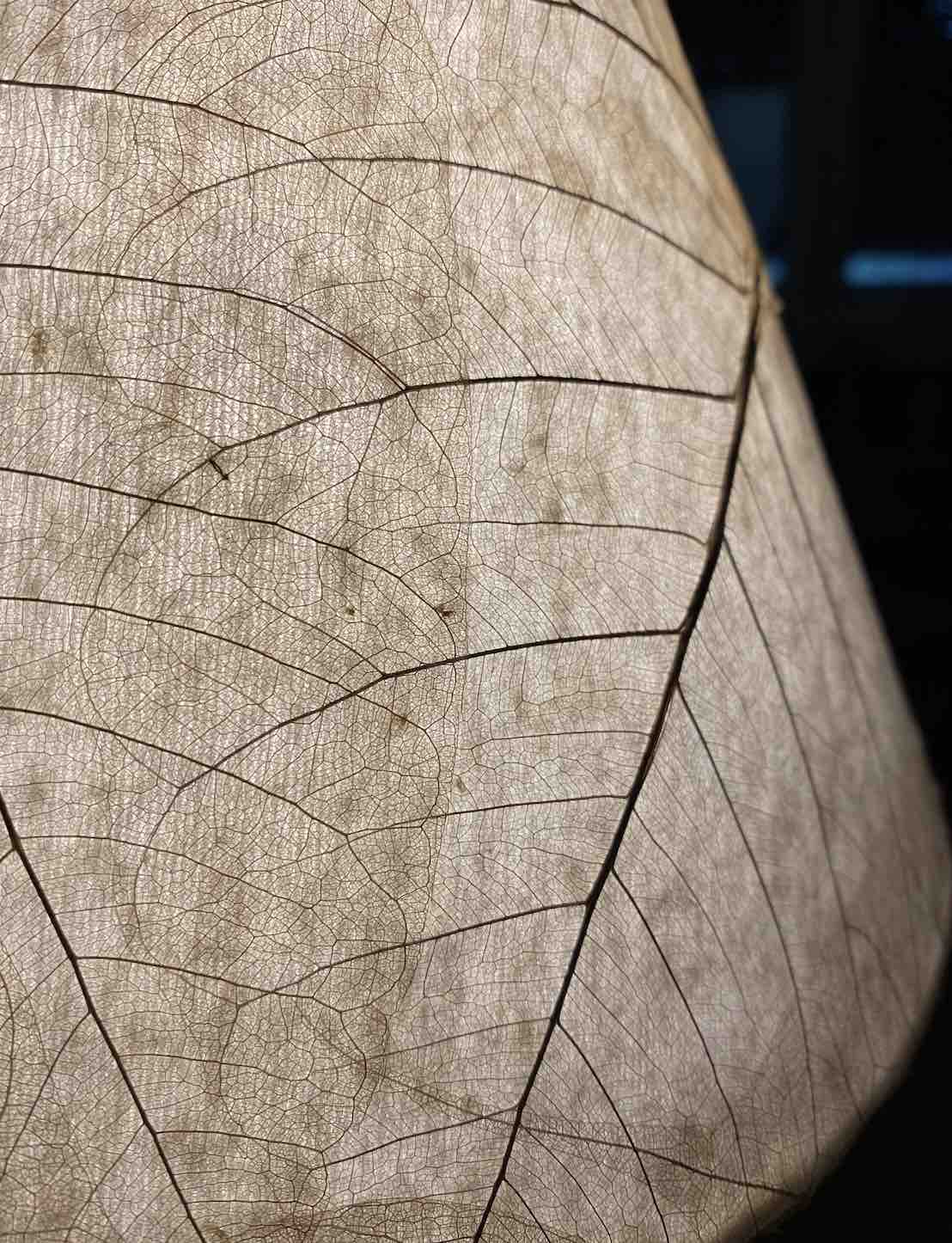 lámpara de madera troquelada monsieur lampierre