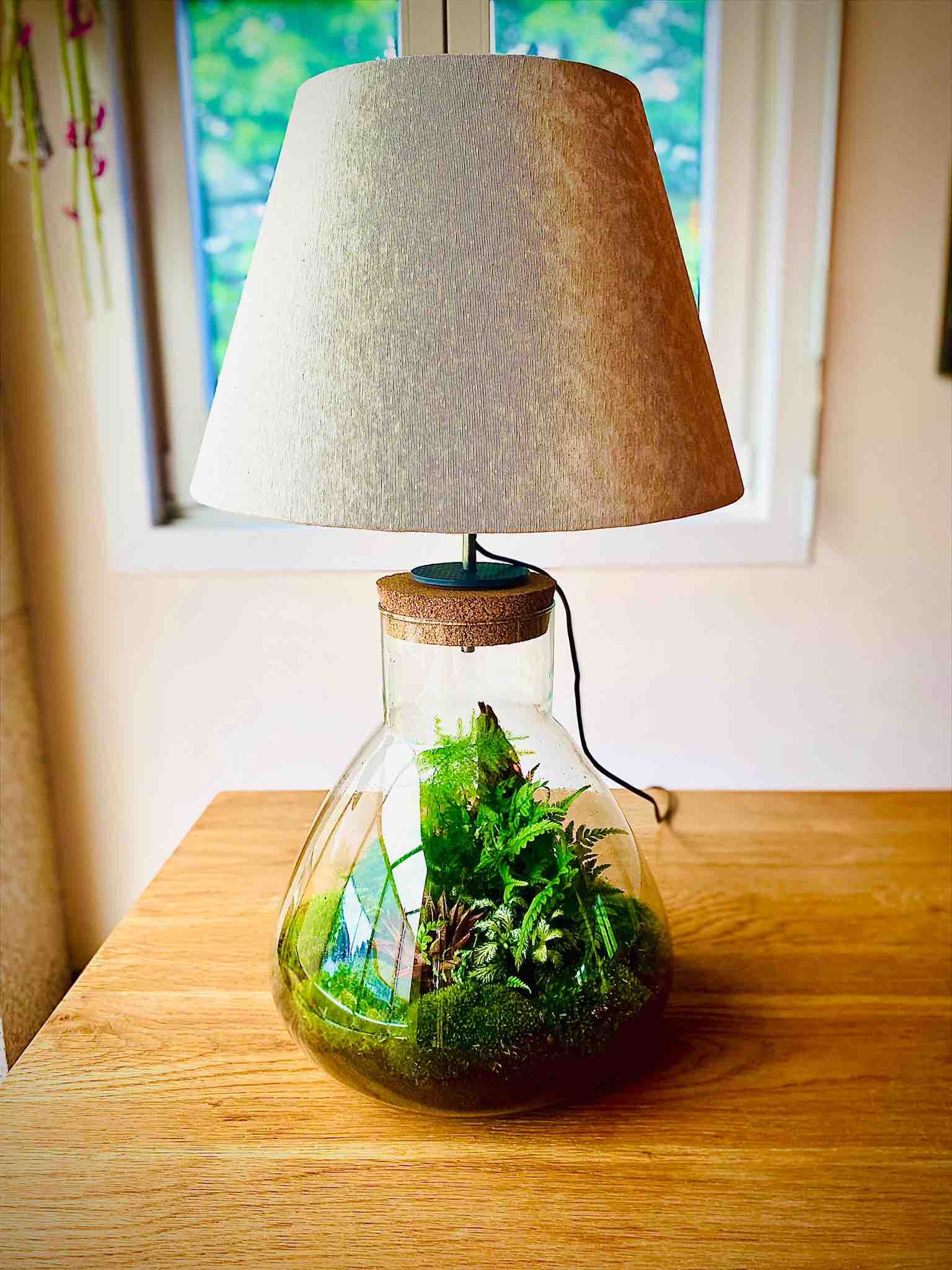 Lámpara terrario by monsieur lampièrre